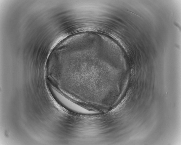 X0000094961034200712201156