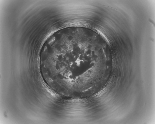 X0000094961035200712201156