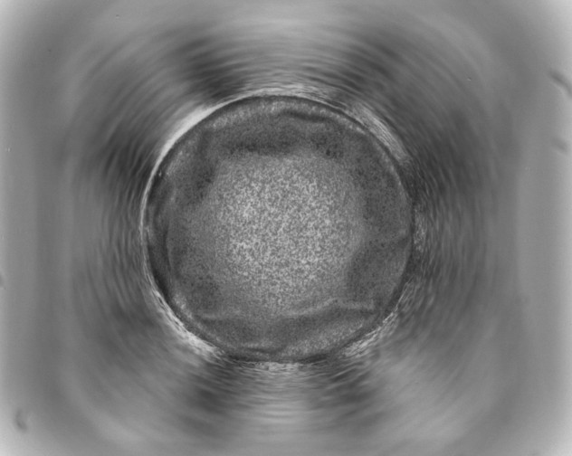 X0000094961036200712201156