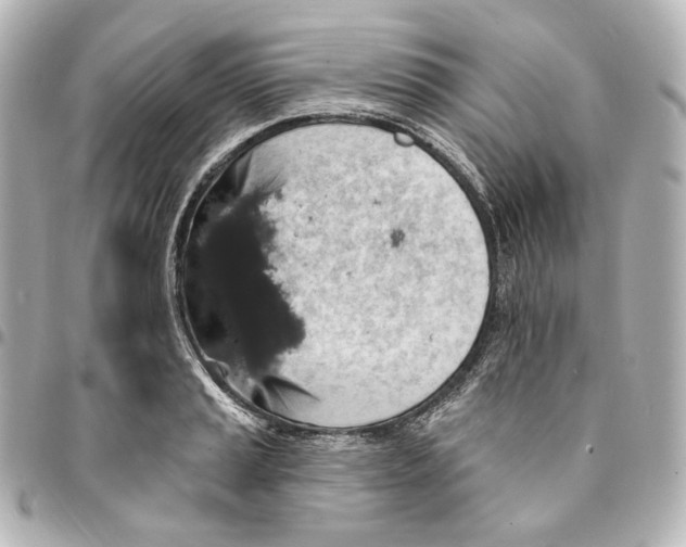 X0000094961037200712201156