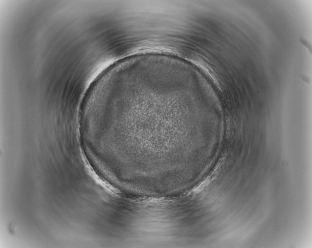 X0000094961038200712201156