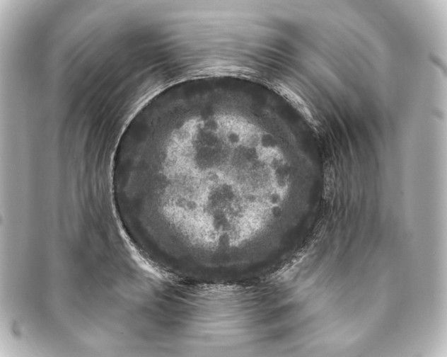 X0000094961039200712201156