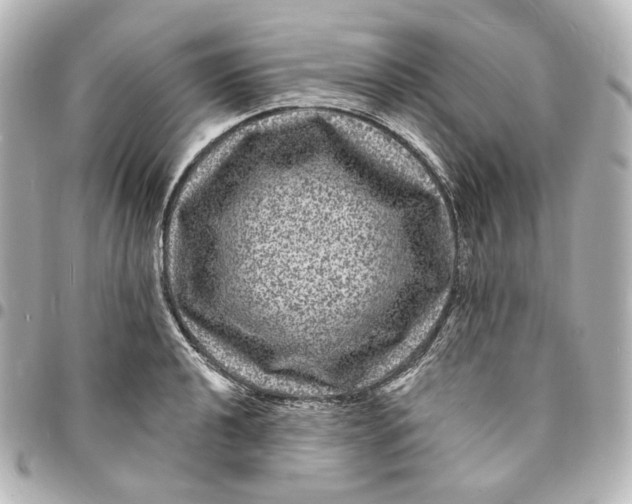 X0000094961040200712201156