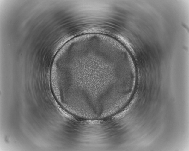 X0000094961041200712201156