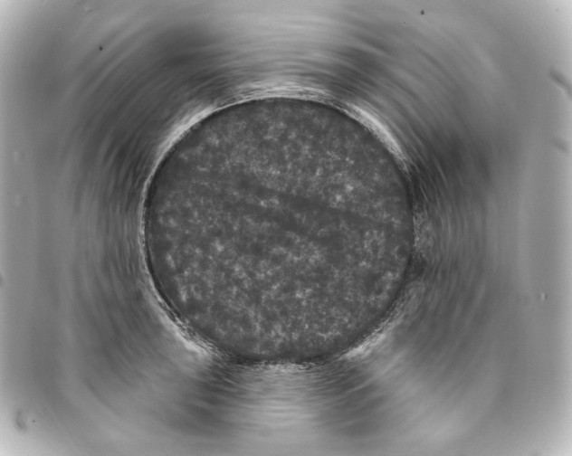 X0000094961043200712201156