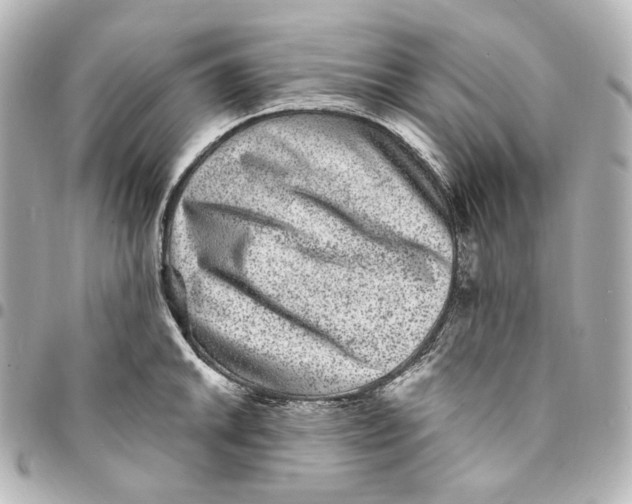 X0000094961046200712201156