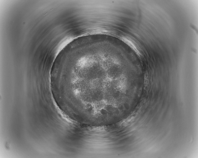 X0000094961047200712201156