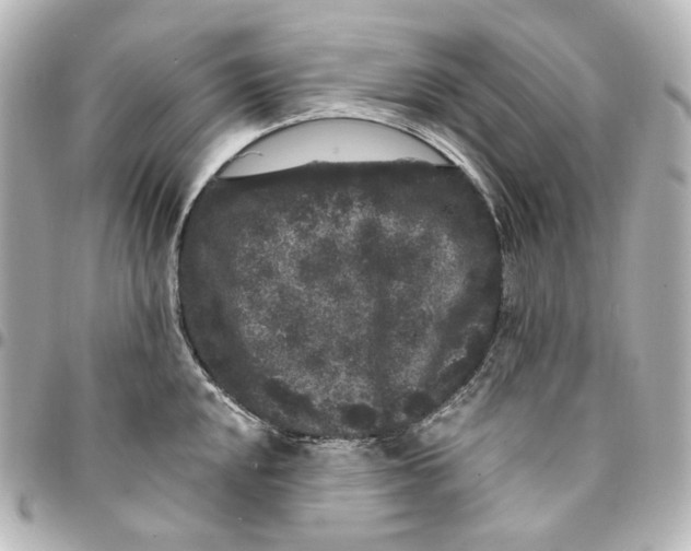 X0000094961048200712201156