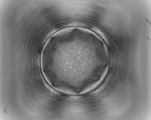 X0000094961049200712201156