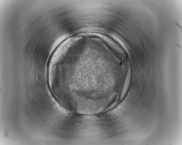 X0000094961050200712201156