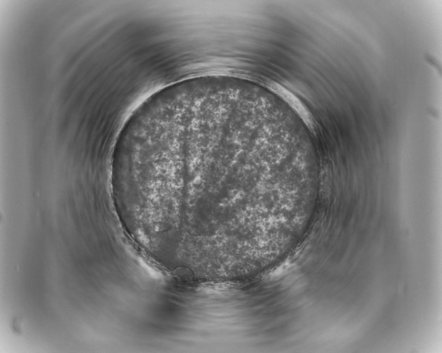 X0000094961051200712201156