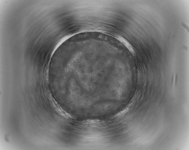 X0000094961052200712201156