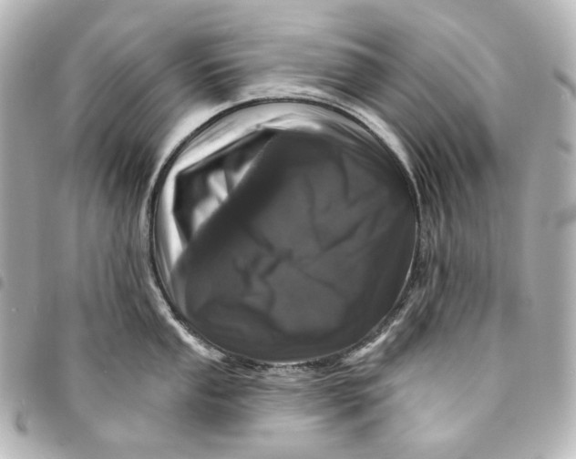 X0000094961053200712201156