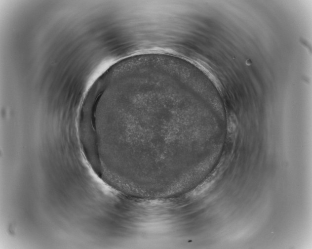 X0000094961054200712201156