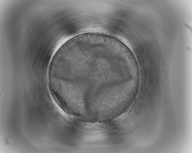 X0000094961056200712201156