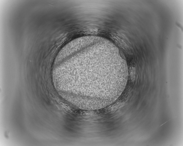 X0000094961057200712201155