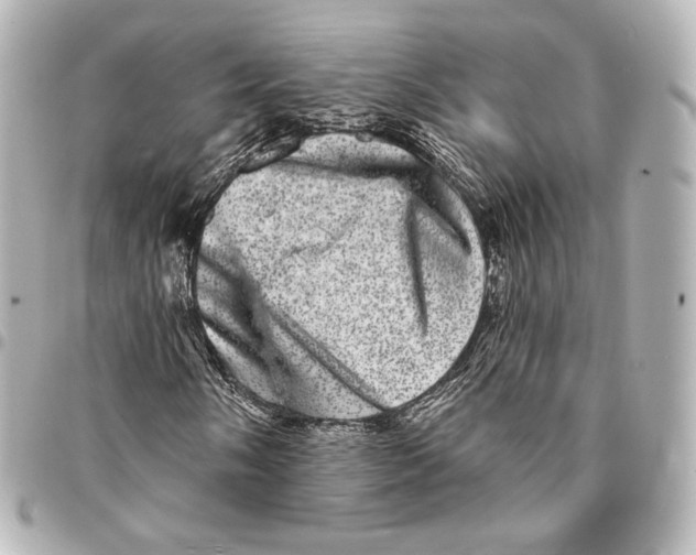 X0000094961058200712201155