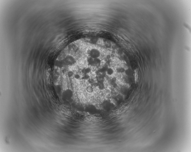 X0000094961059200712201155