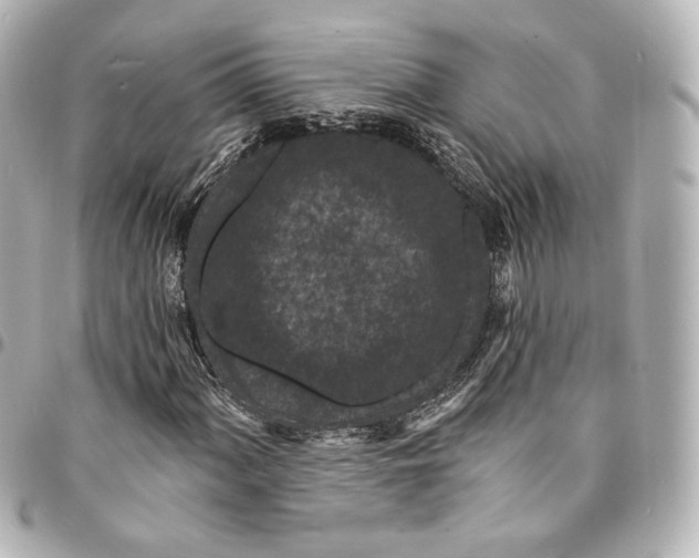 X0000094961060200712201155