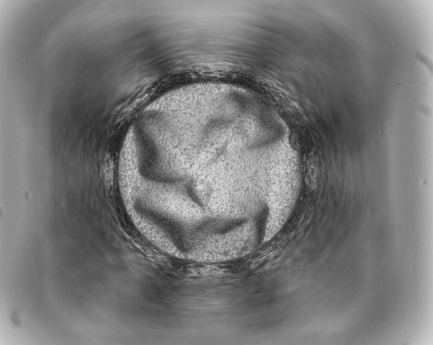 X0000094961061200712201155