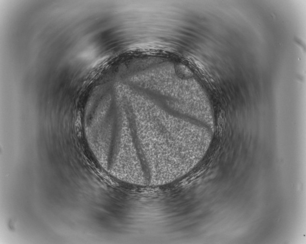 X0000094961062200712201155