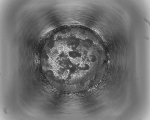 X0000094961063200712201155