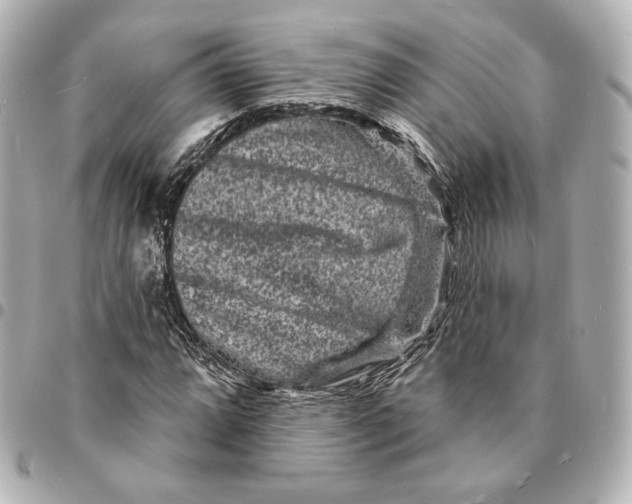 X0000094961064200712201155