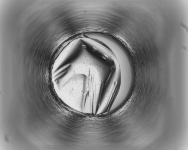 X0000094961065200712201155