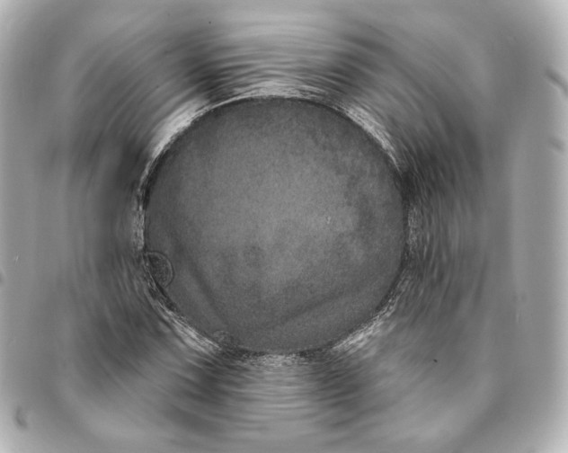 X0000094961067200712201155