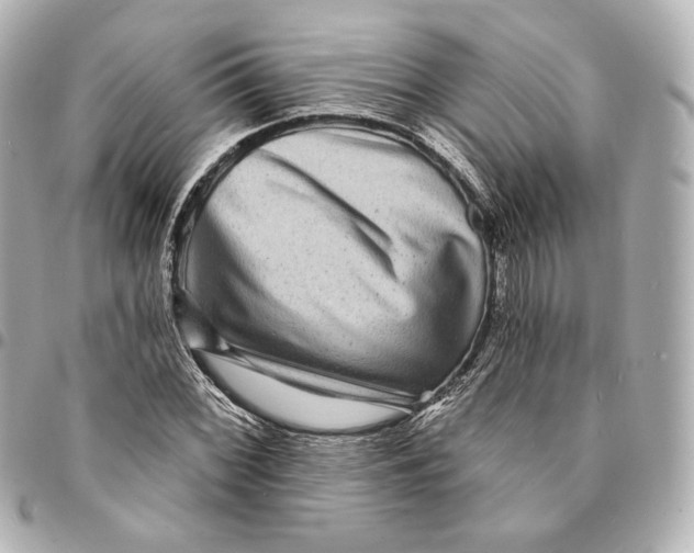 X0000094961068200712201155