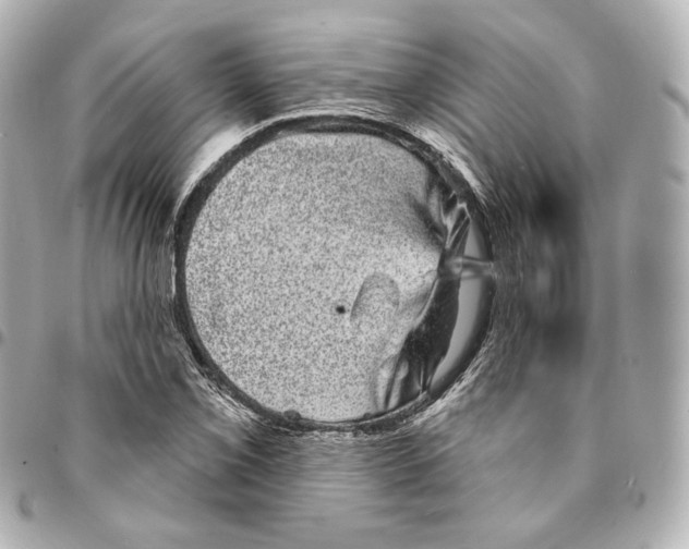 X0000094961069200712201155