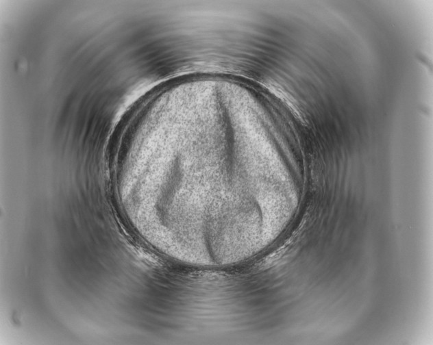 X0000094961070200712201155