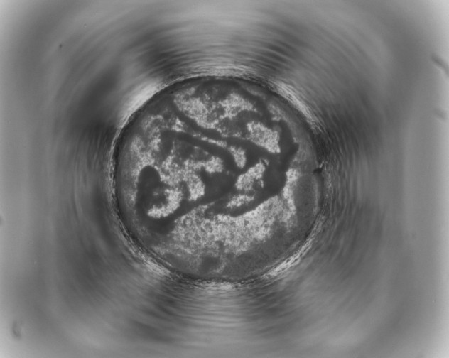 X0000094961071200712201155