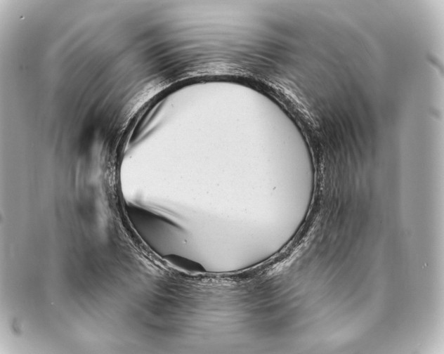 X0000094961073200712201155