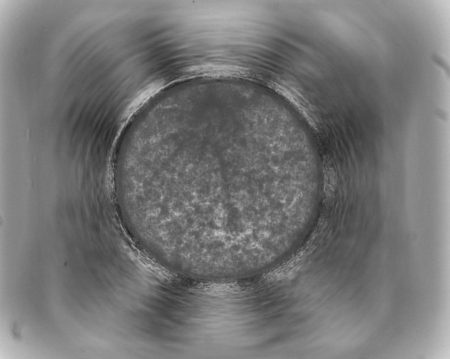 X0000094961074200712201155