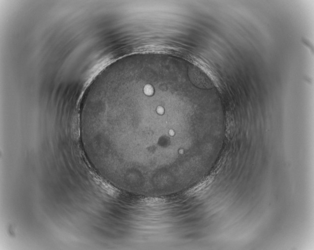 X0000094961075200712201155