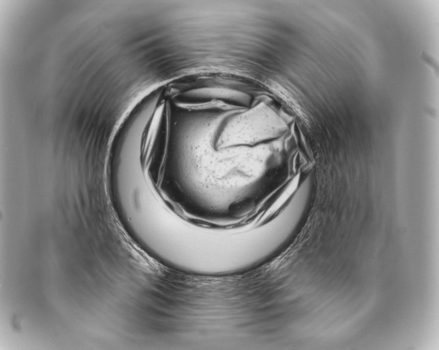 X0000094961076200712201155