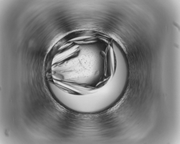 X0000094961077200712201155