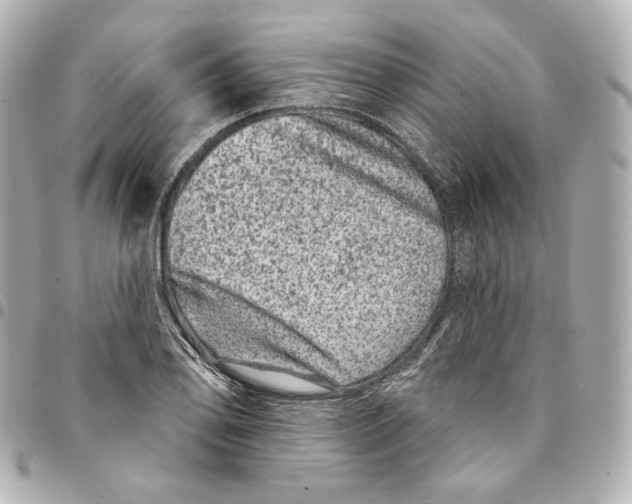 X0000094961078200712201155