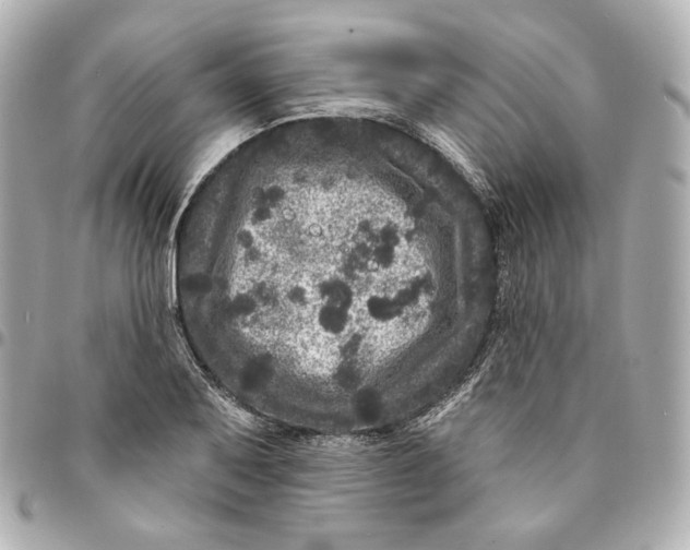 X0000094961079200712201155