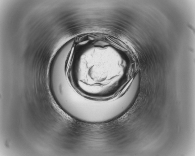 X0000094961080200712201155