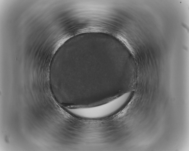 X0000094961081200712201155