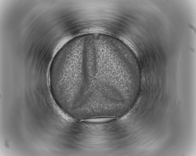 X0000094961082200712201155