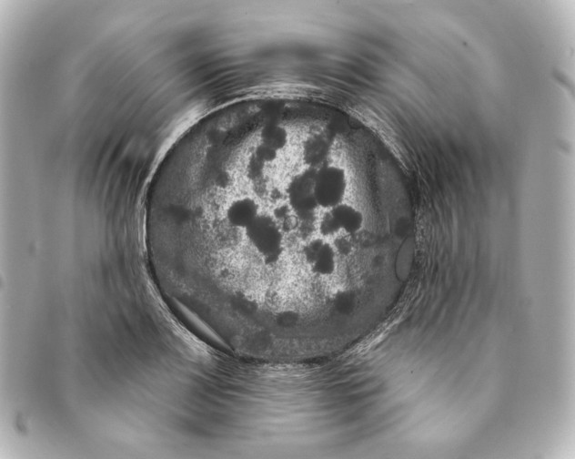 X0000094961083200712201155