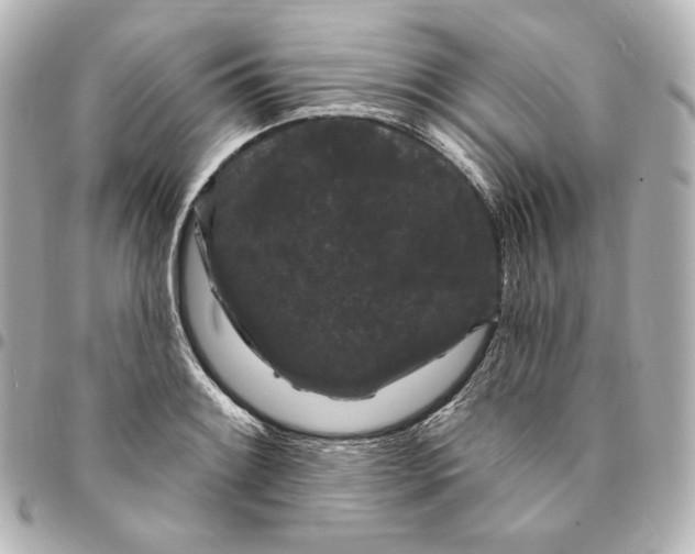 X0000094961084200712201155