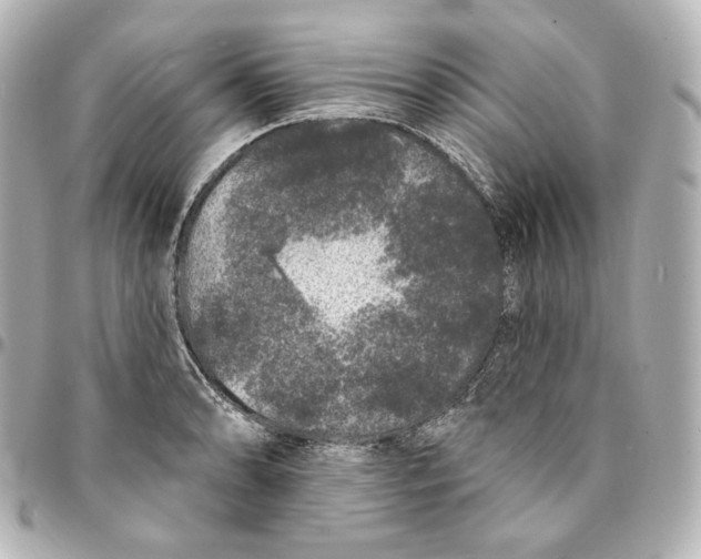 X0000094961086200712201155