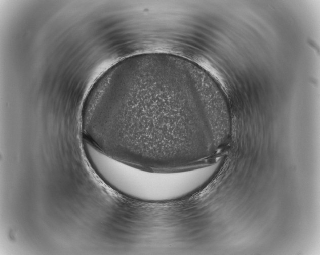 X0000094961088200712201155