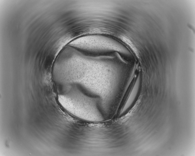 X0000094961089200712201155