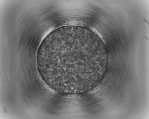 X0000094961091200712201155