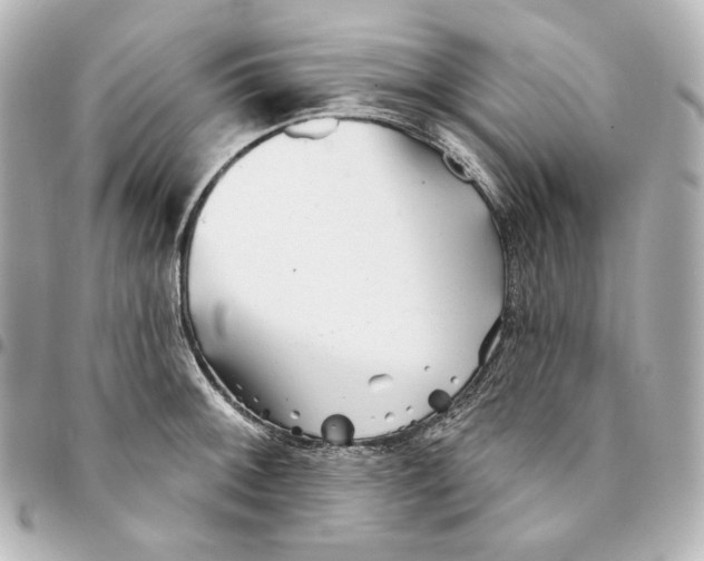 X0000094961092200712201155